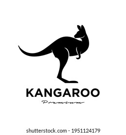 kangaroo wallaby logo vector icon premium illustration