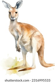 Kangaroo Watercolor illustration. Hand drawn underwater element design. Artistic vector marine design element. Illustration for greeting cards, printing and other design projects.