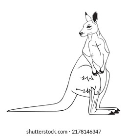 Kangaroo Wild Animal Vector Illustration. Element For Coloring Page
