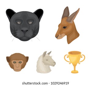 Kangaroos, llama, monkey, panther, Realistic animals set collection icons in cartoon style vector symbol stock illustration web.