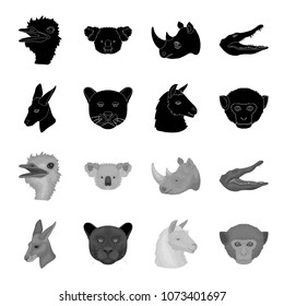 Kangaroos, llama, monkey, panther, Realistic animals set collection icons in black,monochrome style vector symbol stock illustration web.