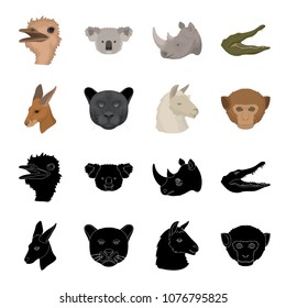 Kangaroos, llama, monkey, panther, Realistic animals set collection icons in black,cartoon style vector symbol stock illustration web.