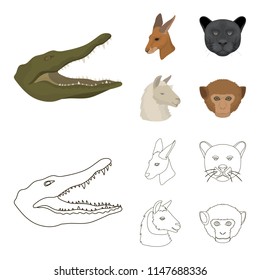 Kangaroos, llama, monkey, panther, Realistic animals set collection icons in cartoon,outline style vector symbol stock illustration web.