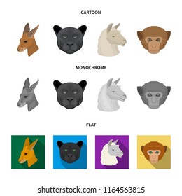 Kangaroos, llama, monkey, panther, Realistic animals set collection icons in cartoon,flat,monochrome style vector symbol stock illustration web.