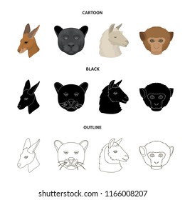 Kangaroos, llama, monkey, panther, Realistic animals set collection icons in cartoon,black,outline style vector symbol stock illustration web.