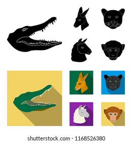 Kangaroos, llama, monkey, panther, Realistic animals set collection icons in black,flat style vector symbol stock illustration web.