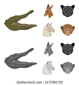 Kangaroos, llama, monkey, panther, Realistic animals set collection icons in cartoon,monochrome style vector symbol stock illustration web.