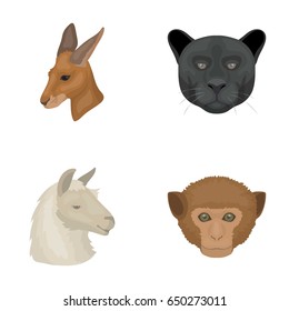 Kangaroos, llama, monkey, panther, Realistic animals set collection icons in cartoon style vector symbol stock illustration web.