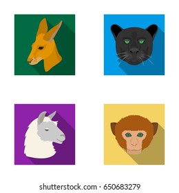 Kangaroos, llama, monkey, panther, Realistic animals set collection icons in flat style vector symbol stock illustration web.