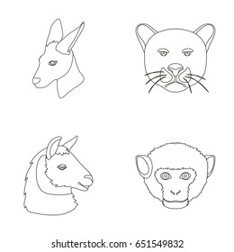 Kangaroos, llama, monkey, panther, Realistic animals set collection icons in outline style vector symbol stock illustration web.