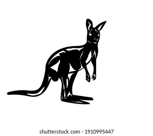  kangaroos on a white background. Isolated drawing of a wallaby. Vector illustration
