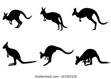 Sammlung von Kängurus-Silhouetten - Vektorgrafik