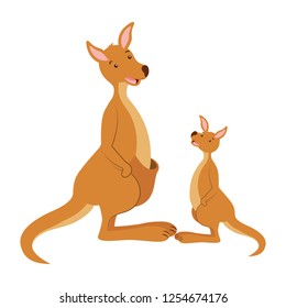 kangarro and baby australian wildlife