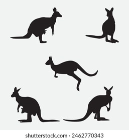 kangaru vector isulated on white background