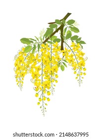 Kanikkonna or Konnappoovu vector illustration, Vishu flower -Konna poovu, Kerala traditional festival, branch of konnappoovu with leaves, golden shower flower - cassia fistula, happy vishu greetings