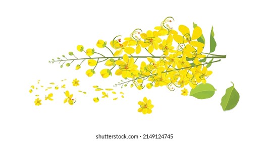 Ilustración vectorial de Kanikkonna o Konnappoovu, flor de Vishu -Konna poovu, festival tradicional de Kerala, rama de konnappoovu con hojas, flor de ducha dorada - fístula de cassia, saludos de feliz vishu