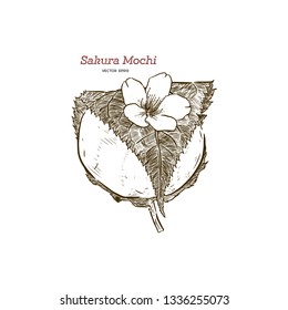 Kansai Sakura Mochi - hand draw sketch Vector.