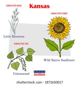 Kansas. Set of USA official state symbols. Vector hand drawn illustration
