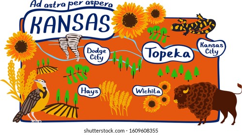 Kansas state map vector cartoon illustration for poster, t-shirt or printable merch