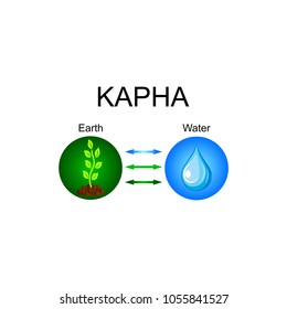Kapha dosha - ayurvedic human body constitution. Combination of earth and water elements. Vector illustration.