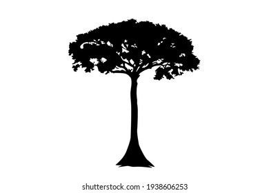 Icono de ilustración de árbol Kapok Ceiba pentandra, prisa, textura. Esquema de un solo árbol sobre un fondo blanco. Vector.