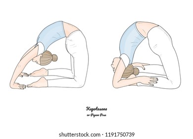 Kapotasana or Pigeon Pose. Vector.