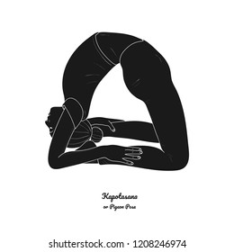 Kapotasana or Pigeon Pose. Vector.