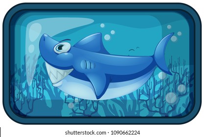 A Kappy Shark in the Aquarium illustration