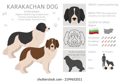 Clíparte de perro de Karakachan. Colores de abrigo diferentes.  Ilustración del vector