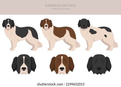 Clíparte de perro de Karakachan. Colores de abrigo diferentes.  Ilustración del vector