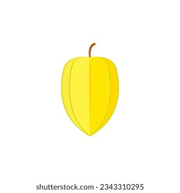 Karambola or star fruit flat design vector illustration