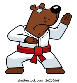 Karate Bear