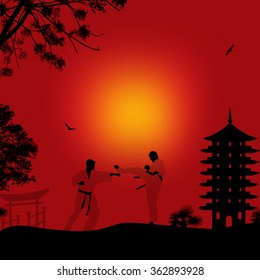 Karate in the beautiful asian landscape on red sunset, vector illustration
