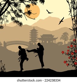 Karate in the beautiful asian landscape, vector illustration