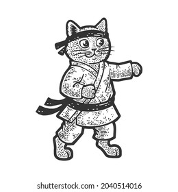 karate cat martial arts athlete sketch engraving vector illustration. T-shirt apparel print design. Scratch board imitation. Black and white hand drawn image.