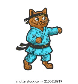 karate cat martial arts athlete color sketch engraving vector illustration. T-shirt apparel print design. Scratch board imitation. Black and white hand drawn image.