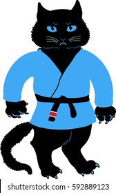 Karate cat, vector illustration