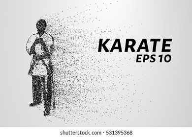  Karate consists of circles and points. Vector illustration.