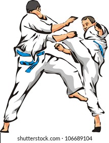 karate fight - unarmed combat