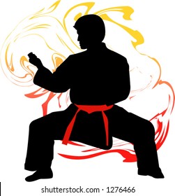 karate fighter