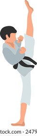 Karate fighter in grey kimono vector illustration on a white background