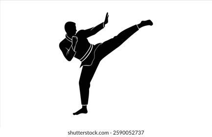 Karate fighter in a high-kick stance silhouette