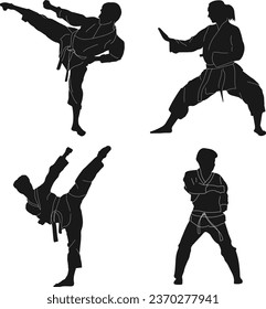Karate Fighter Icon. Traditional Martial Art. Vector Illustration Set.