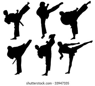 Karate Fighter Performing High Kick