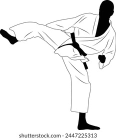 karate fighter, sidekick - vector