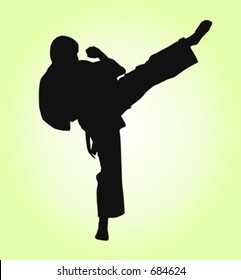 Karate fighter silhouette