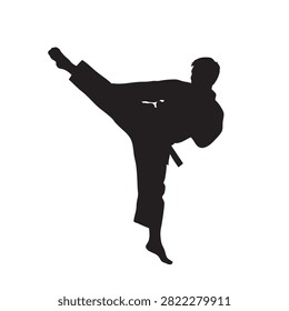 karate fighter silhouette in minimalist pose on white background