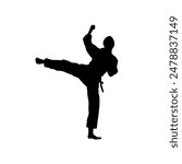 karate fighter silhouette - vector illustration