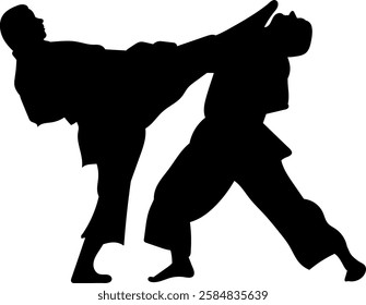 karate fighters fighting silhouette on white background vector