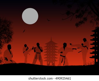 Karate fighters silhouette in the sunset background, vector illustration